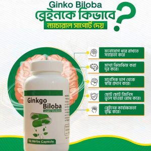 Ginkgo Biloba (1Pcs)